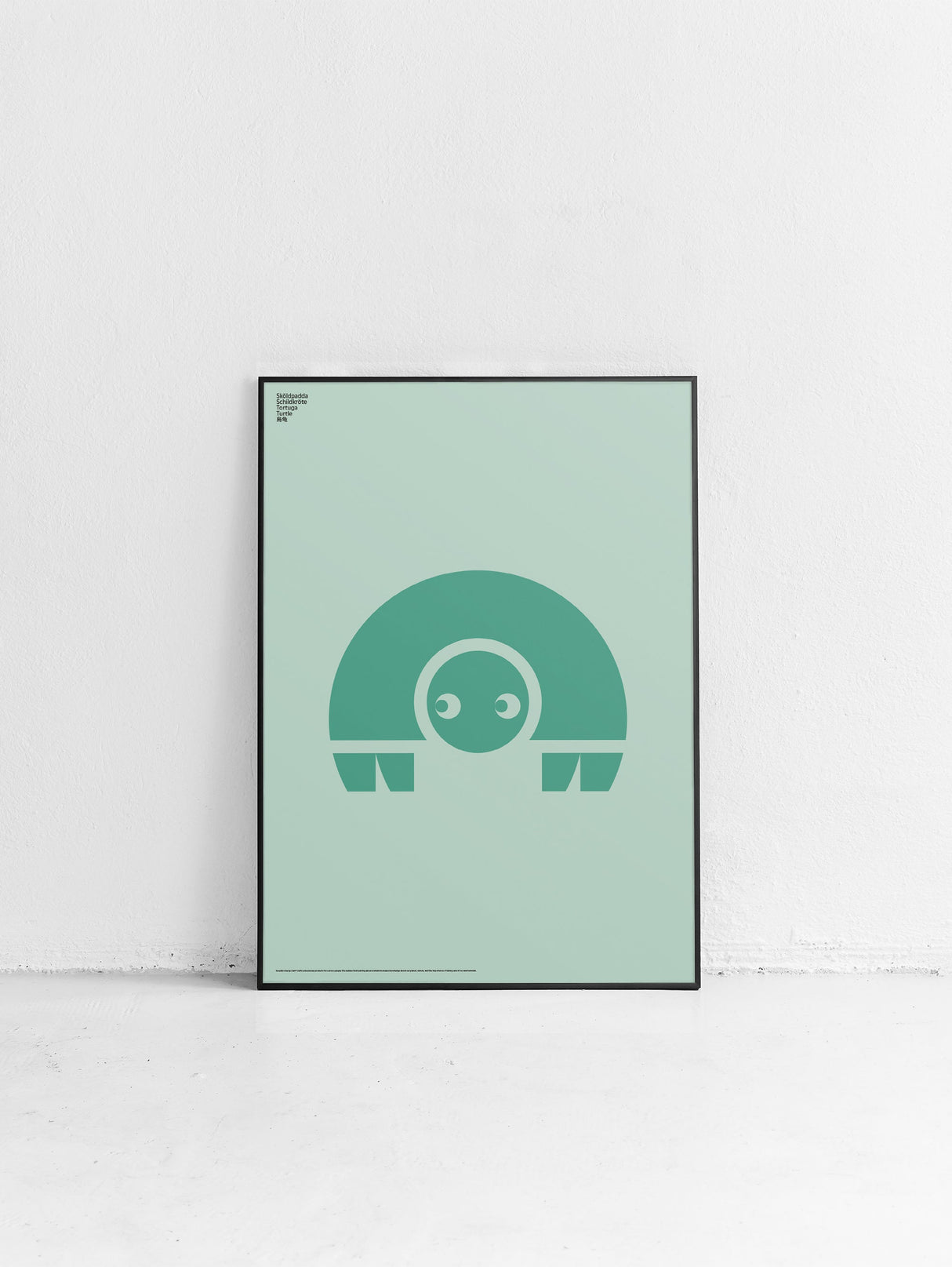 Animal Turtle Poster