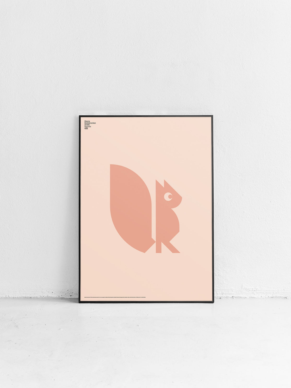 Animal Squirrel Poster