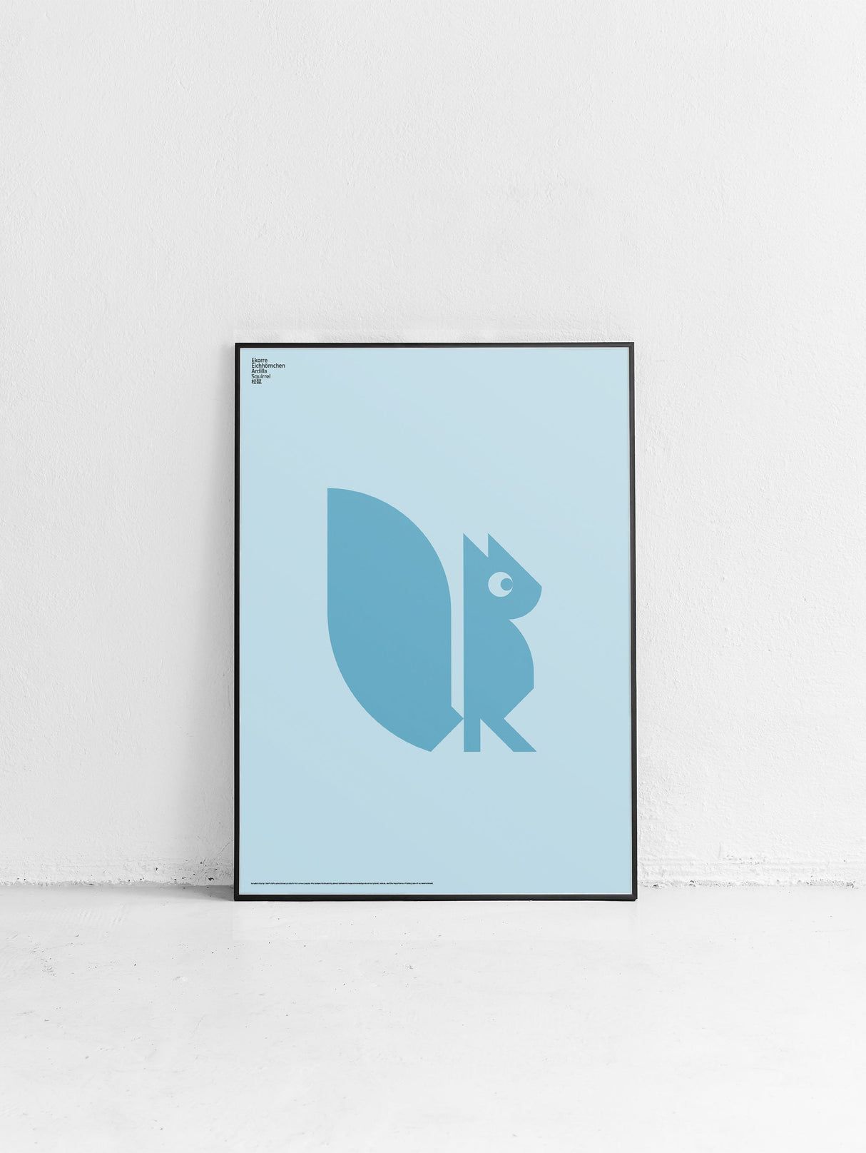 Animal Squirrel Poster