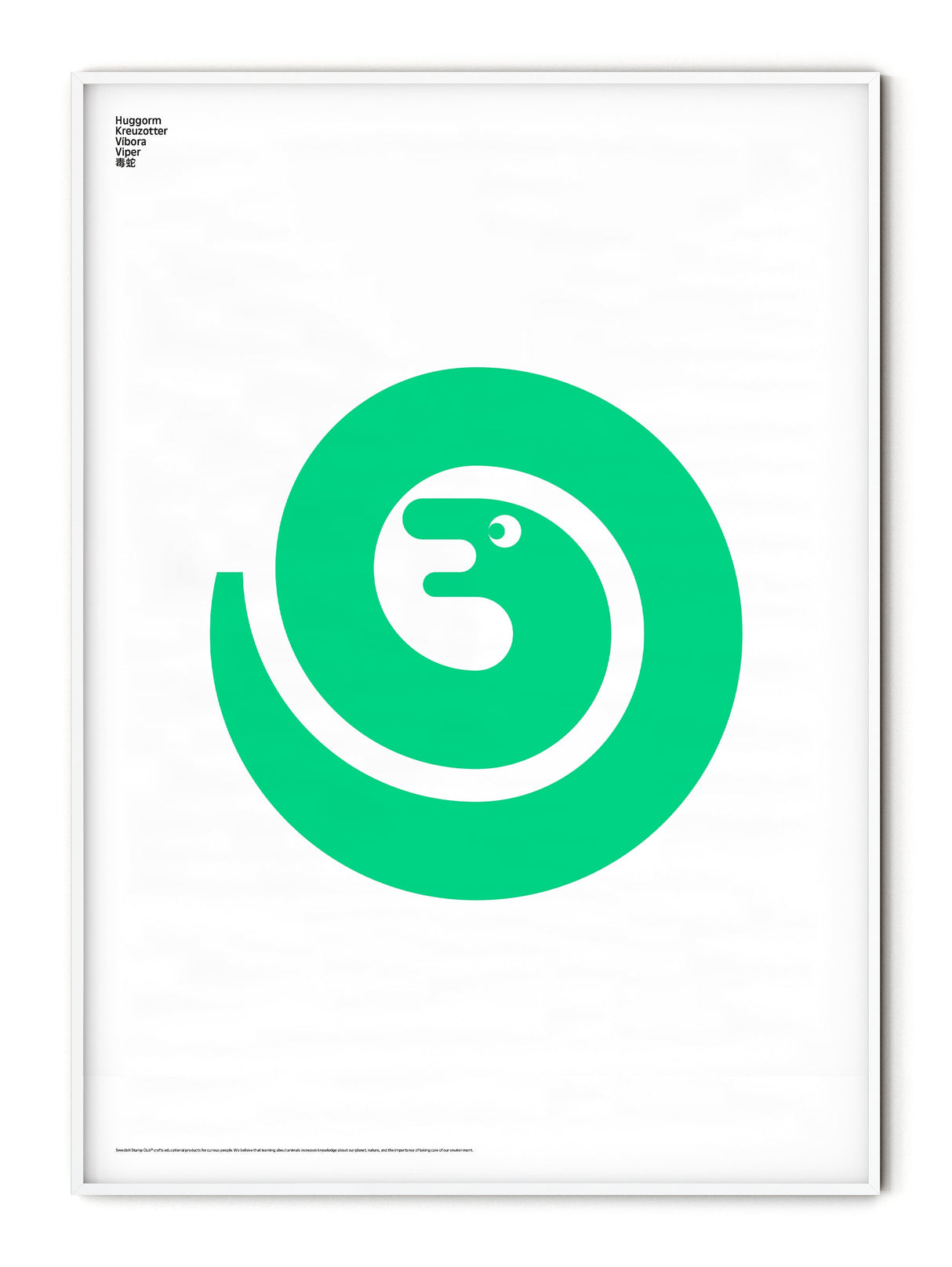 Animal Viper Snake Poster