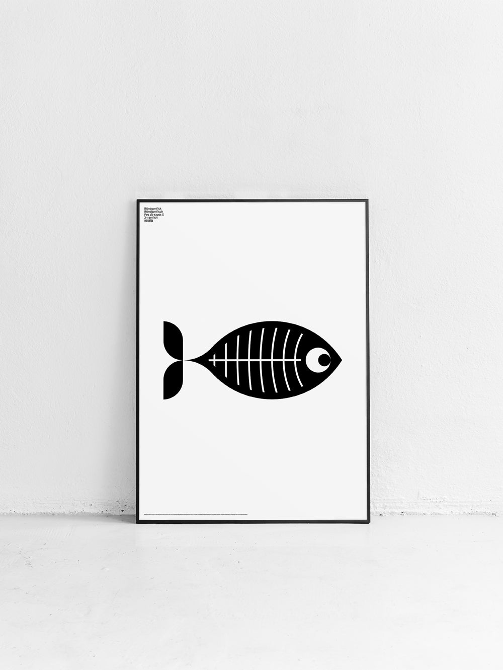 Animal X-Ray Fish Poster