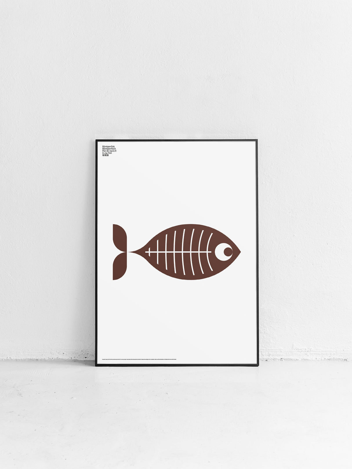 Animal X-Ray Fish Poster