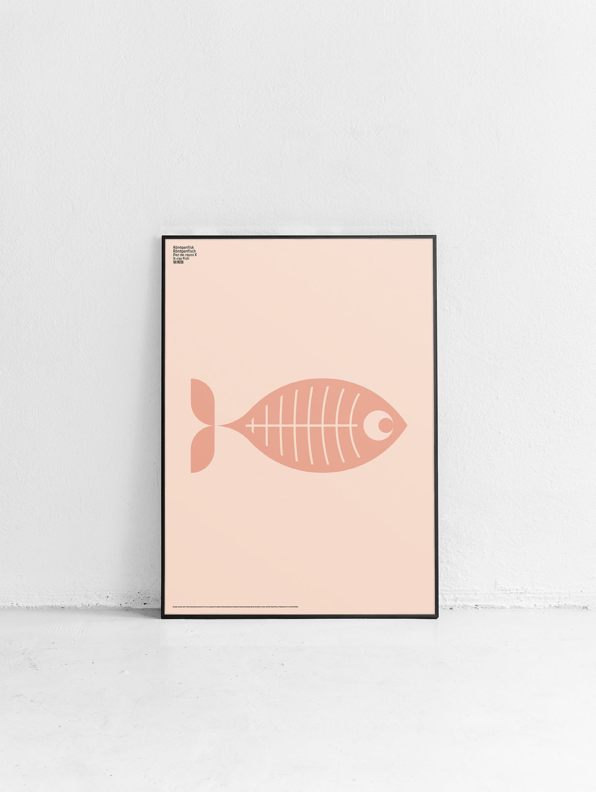 Animal X-Ray Fish Poster