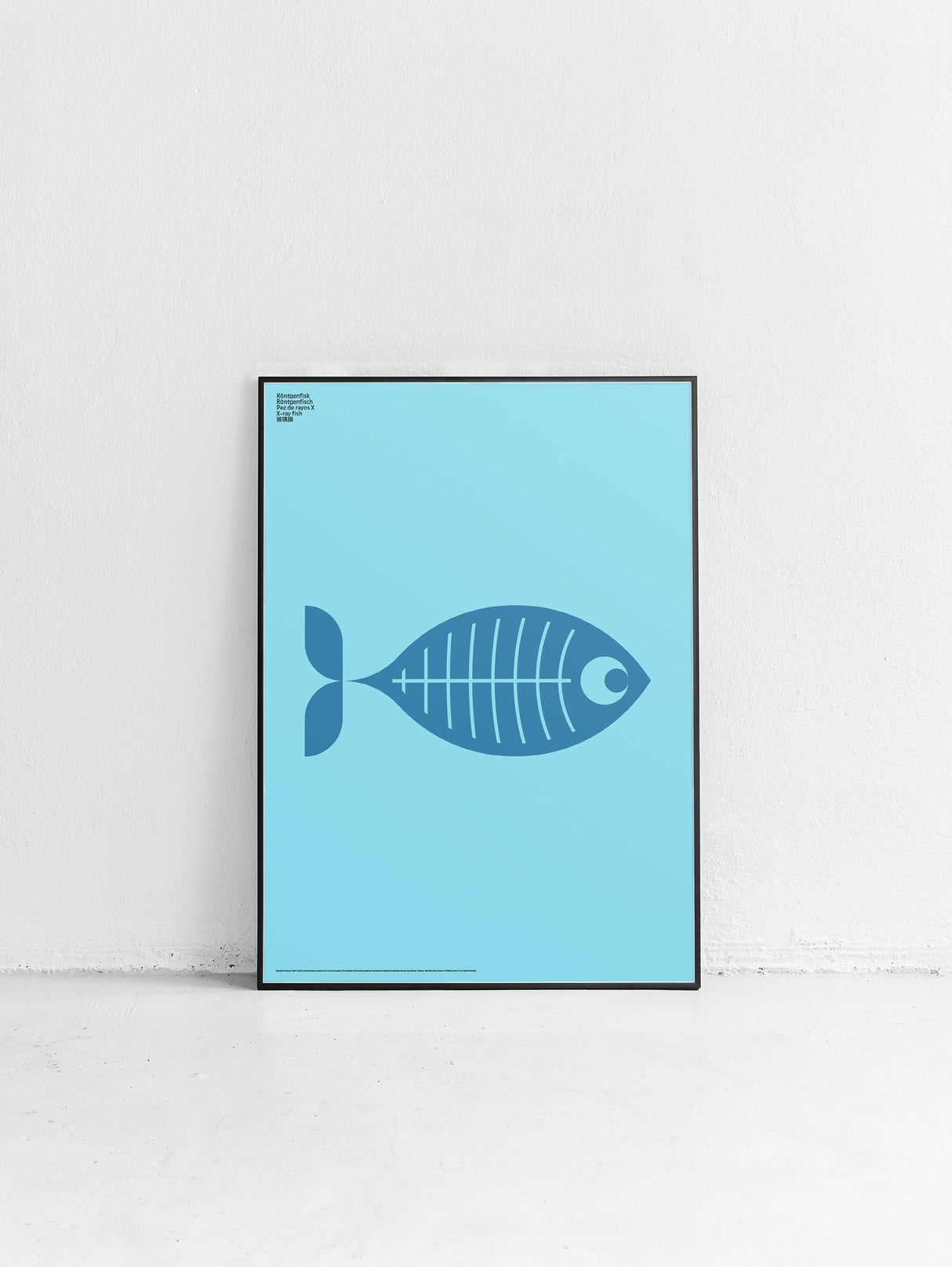 Animal X-Ray Fish Poster