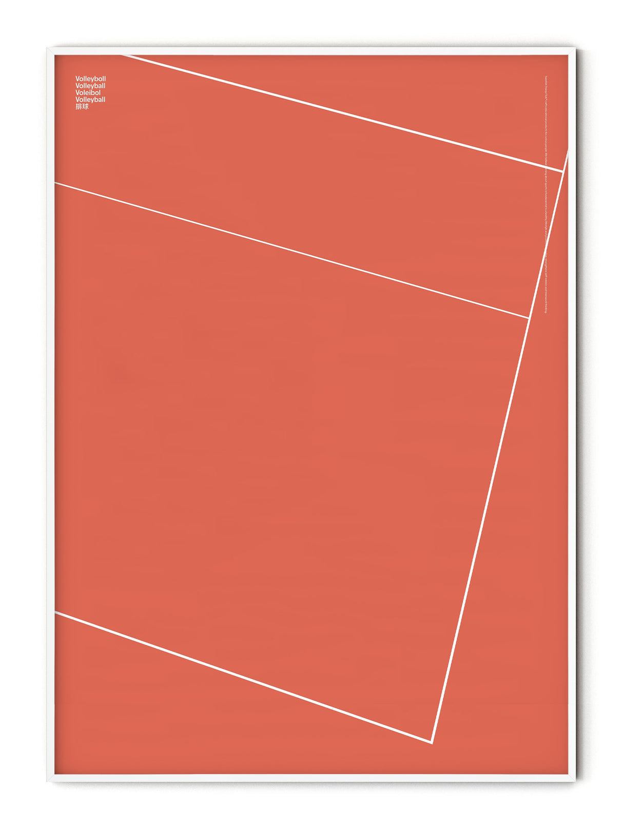 Sport Volleyball Detail Poster