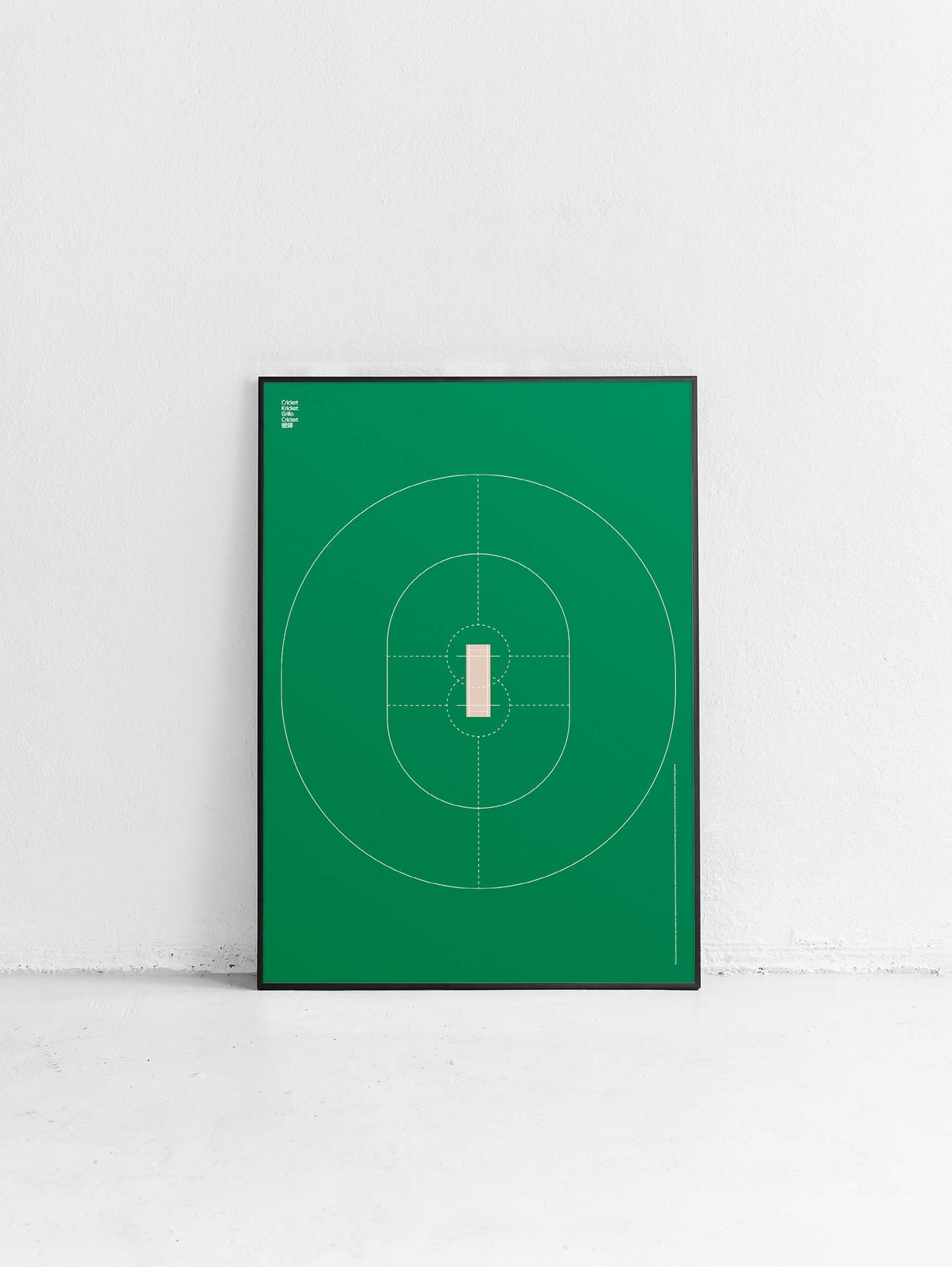 Sport Cricket Poster