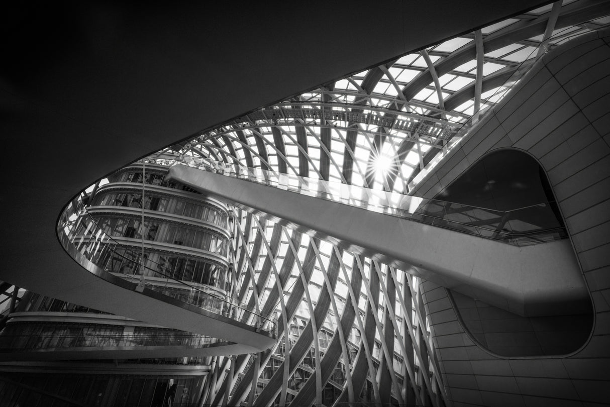 Lines and curves Poster och Canvastavla