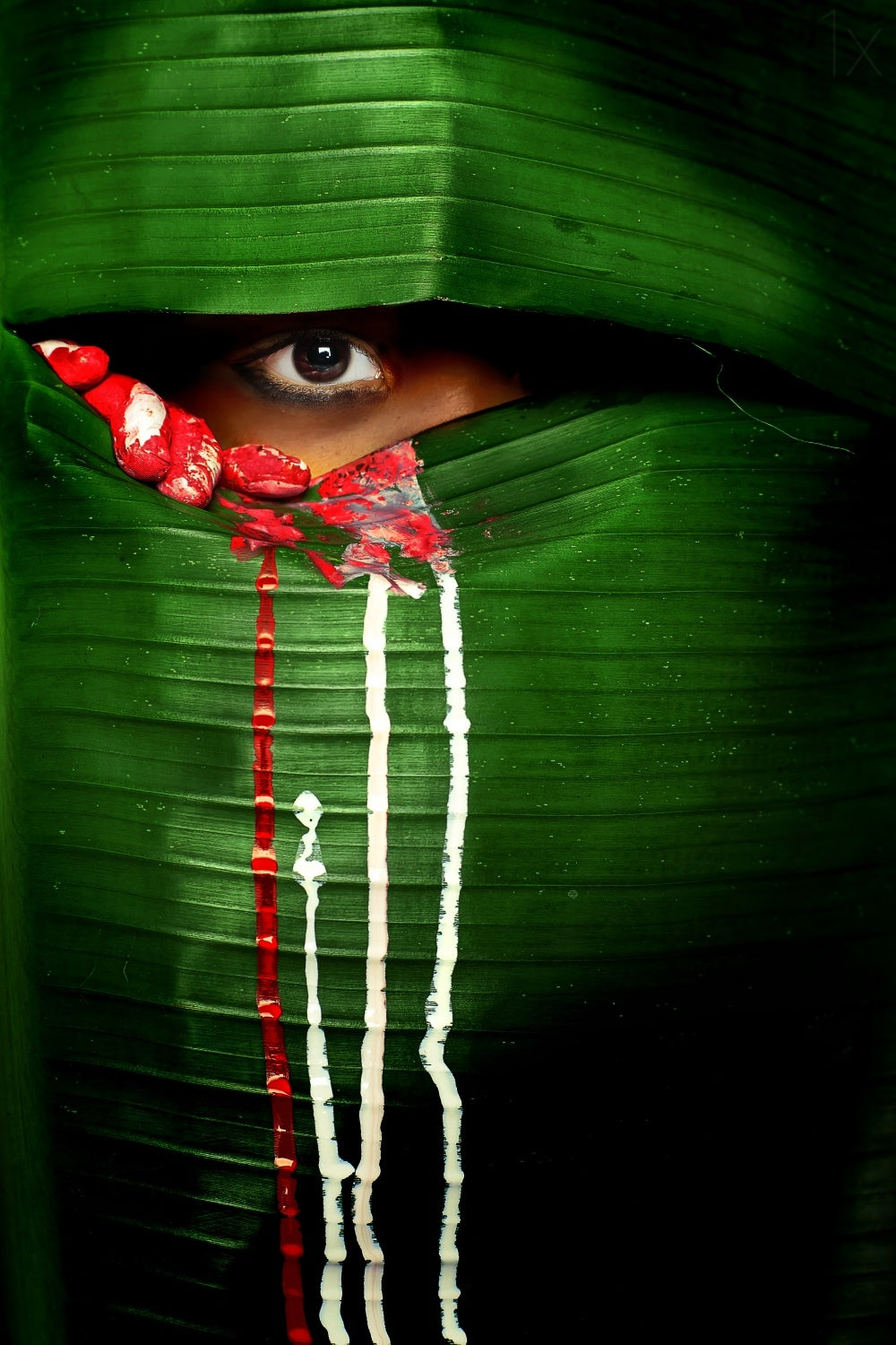 Mysterious Eye Poster och Canvastavla