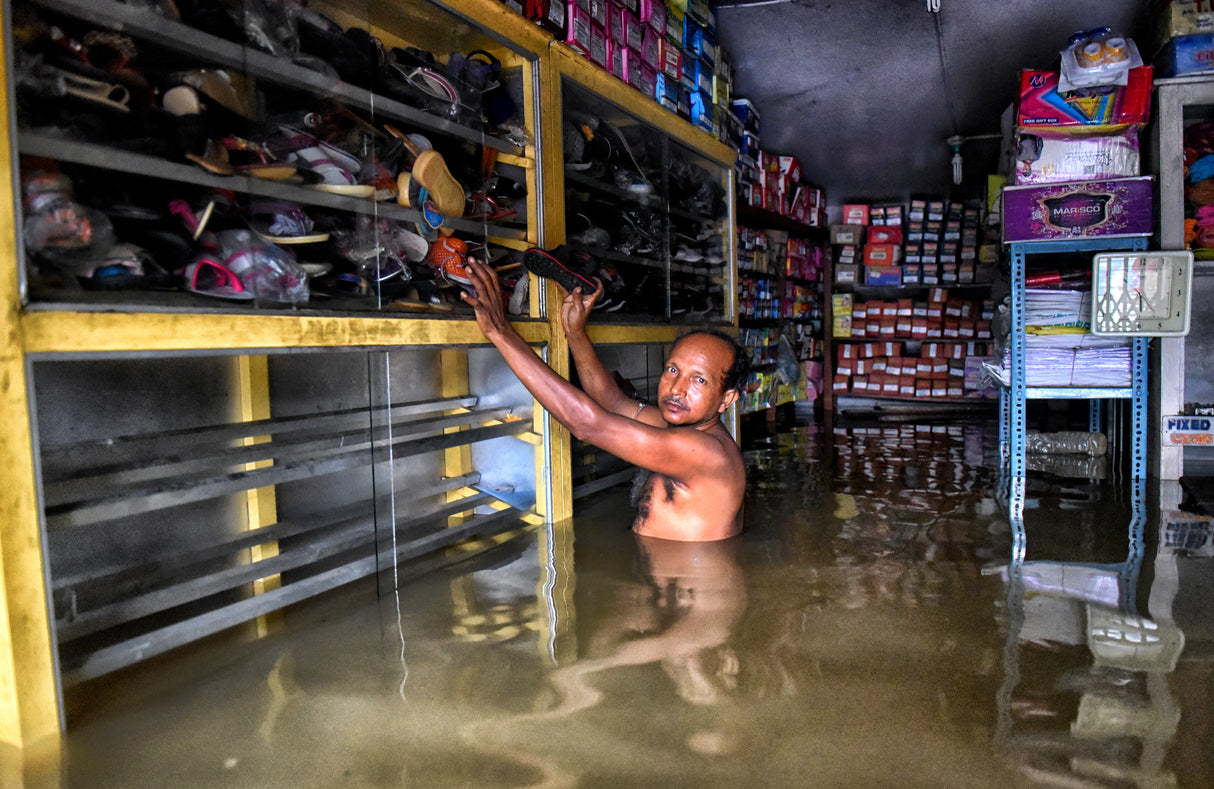 Flooded Life Poster och Canvastavla