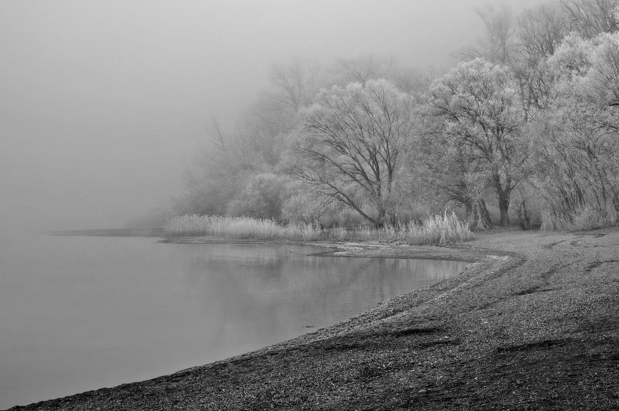 hoarfrost and fog Poster och Canvastavla