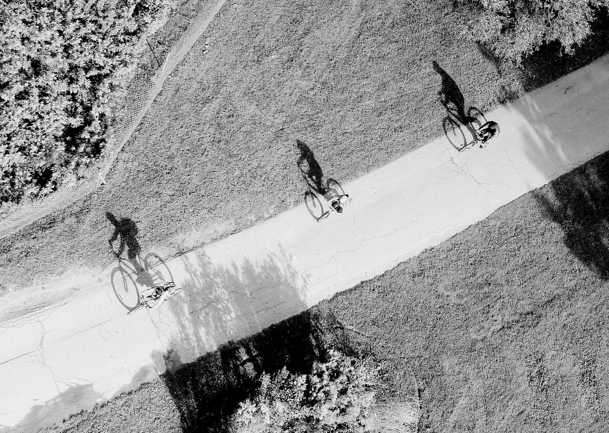 Family cycling Poster och Canvastavla
