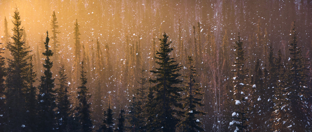 Snow Flakes Poster och Canvastavla