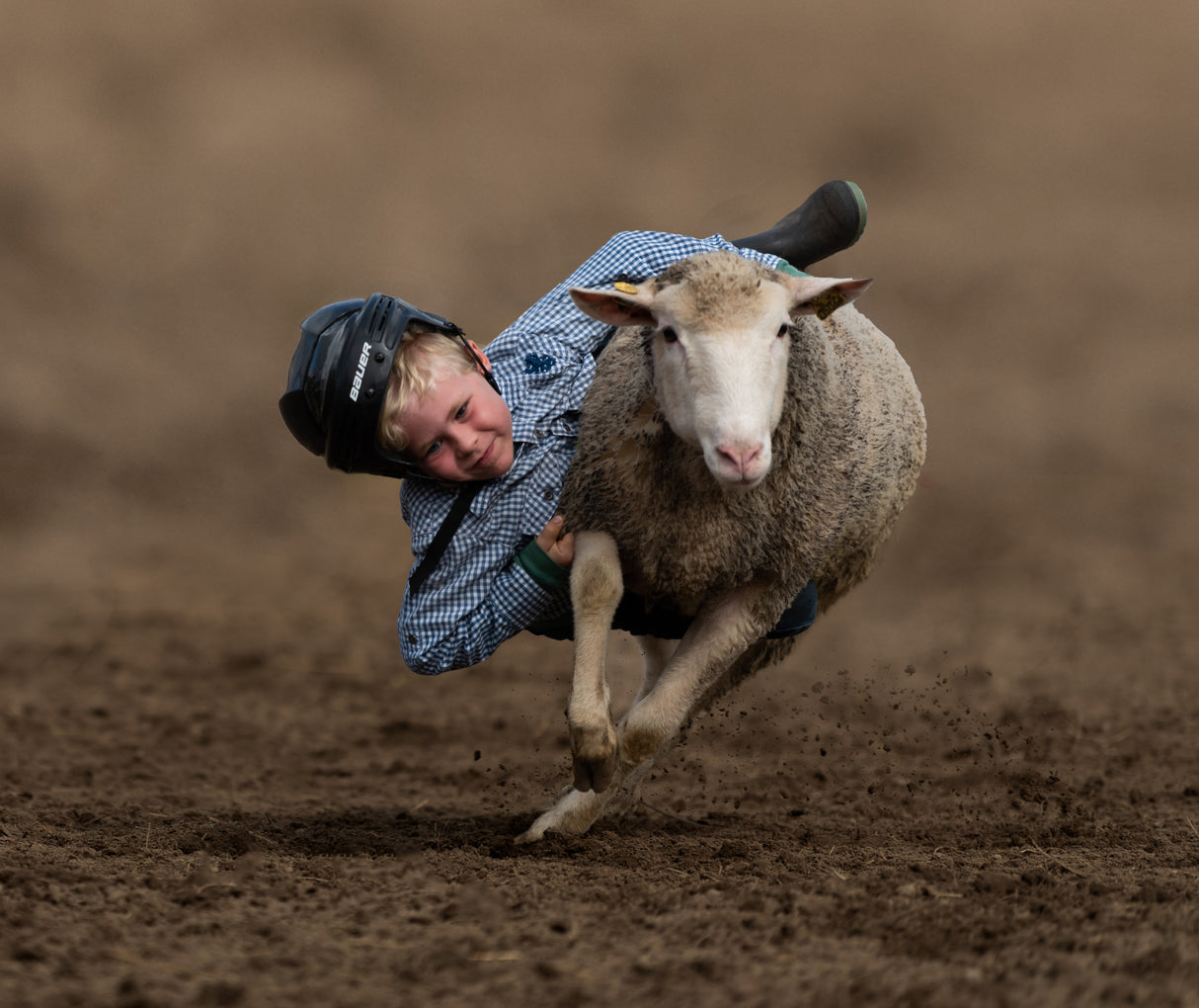 cowboy kid Poster och Canvastavla