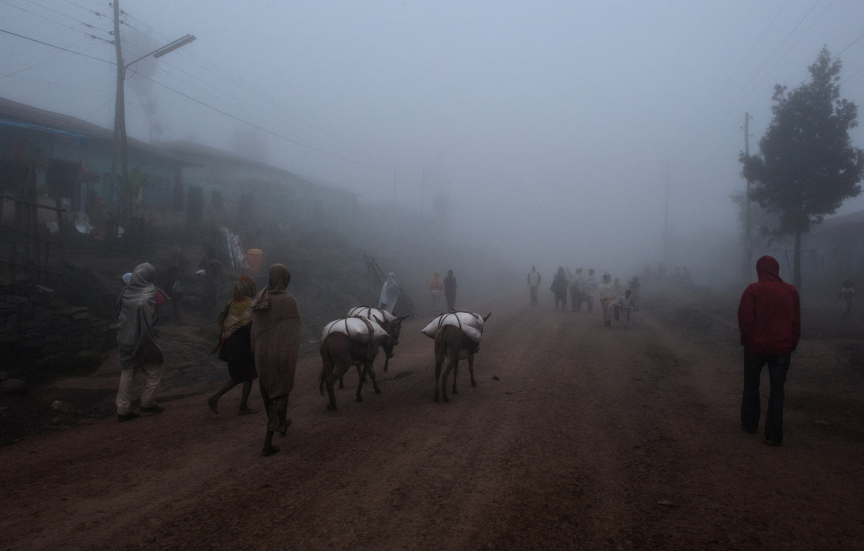 Fog in a village in the highlands of Ethiopia. Poster och Canvastavla