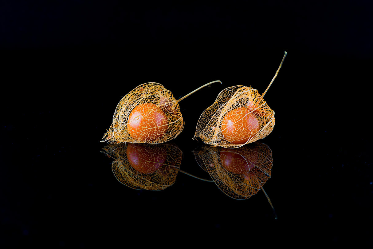 Latten Fruit Poster och Canvastavla