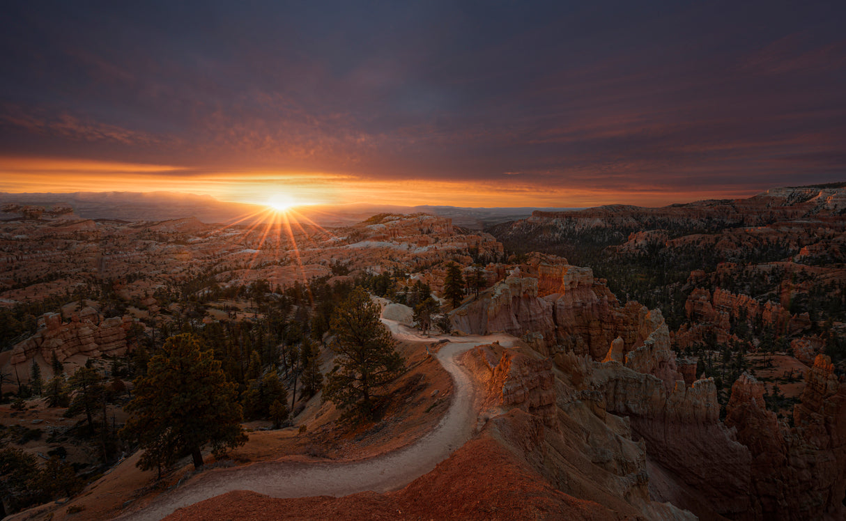 Bryce Canyon Poster och Canvastavla