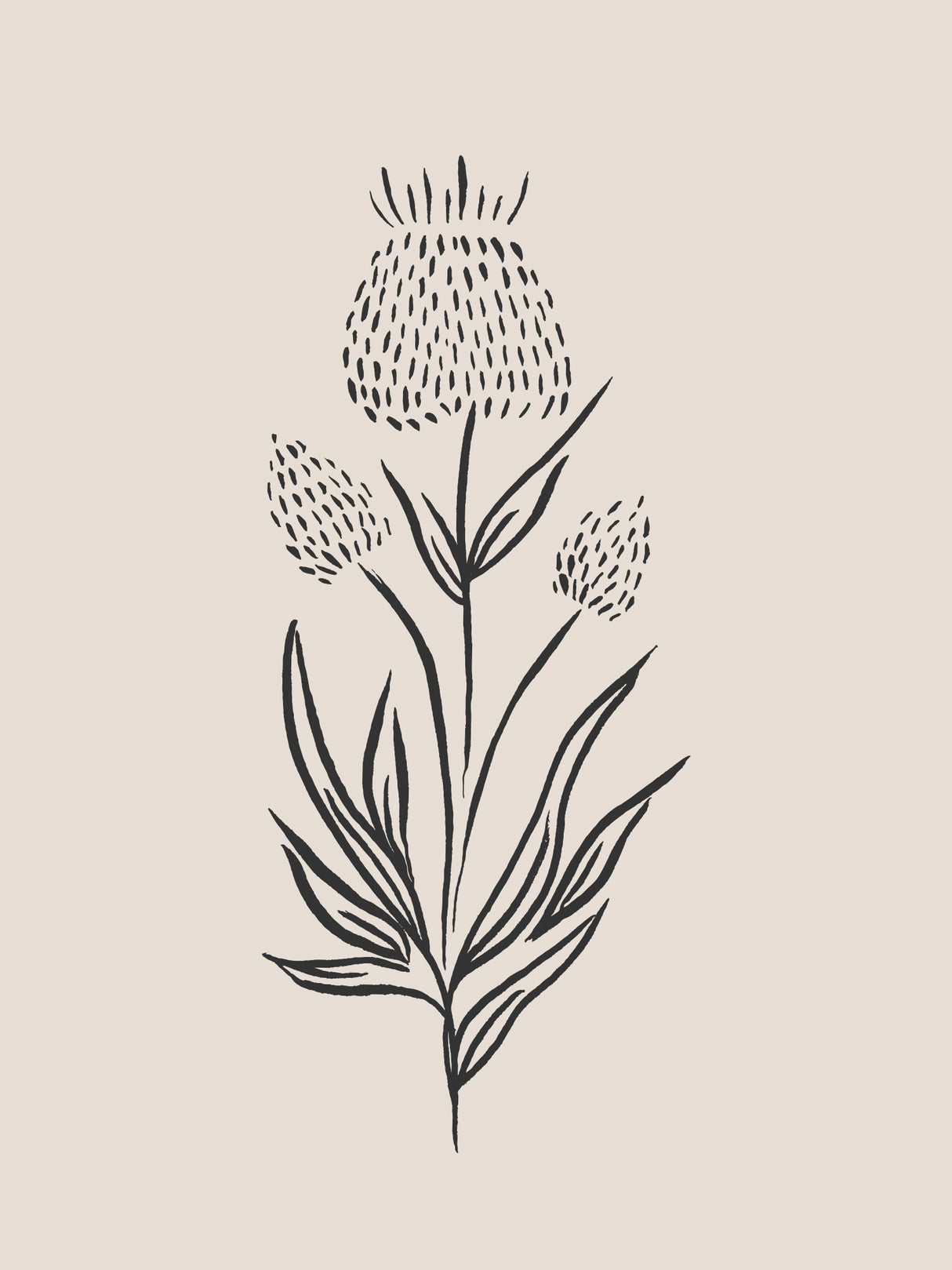 Bulb Flower Bunch Poster och Canvastavla