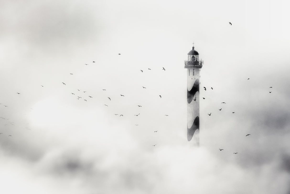 the fog Poster och Canvastavla