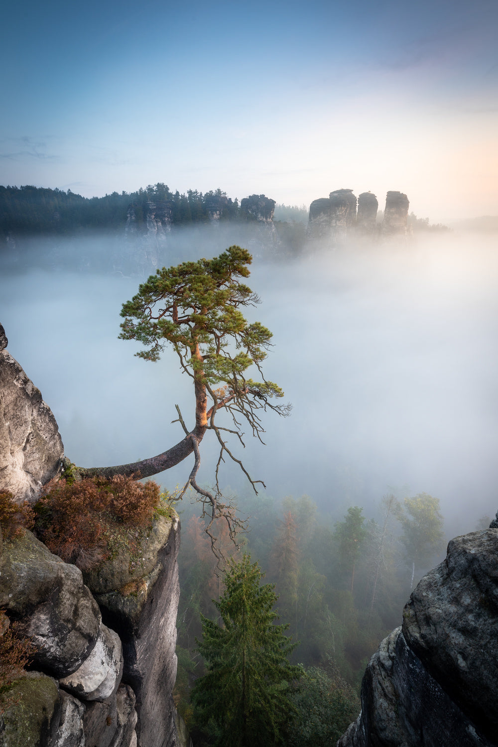 saxon switzerland Poster och Canvastavla