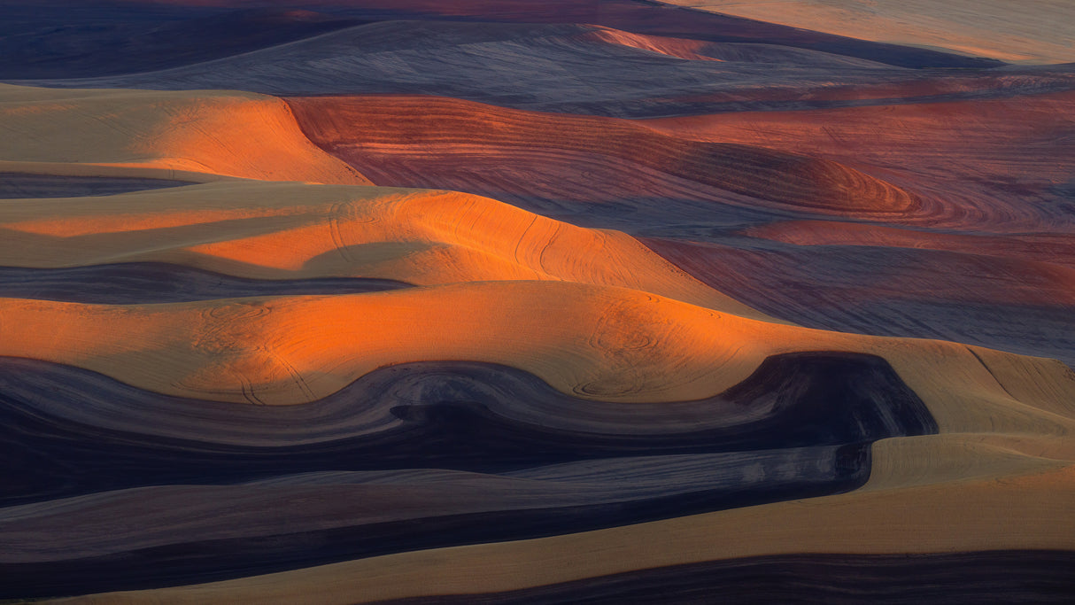 Palouse Painted Hills Poster och Canvastavla