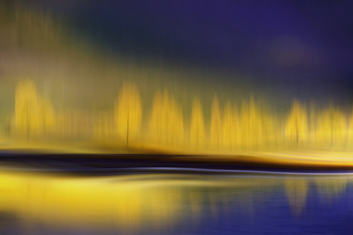 Yellow night Poster och Canvastavla