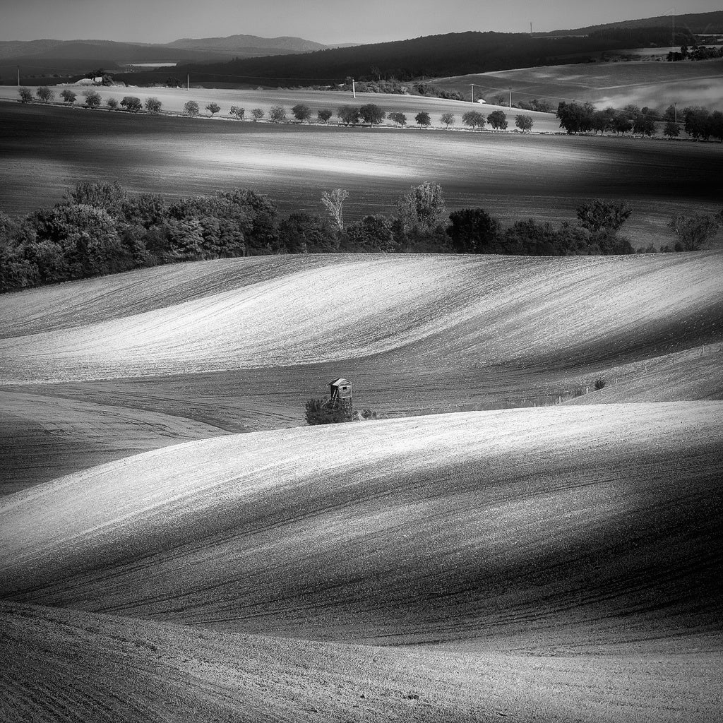 Moravian fields Poster och Canvastavla