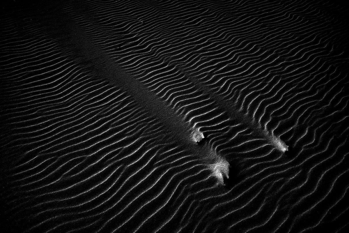 SAND #2 Poster och Canvastavla