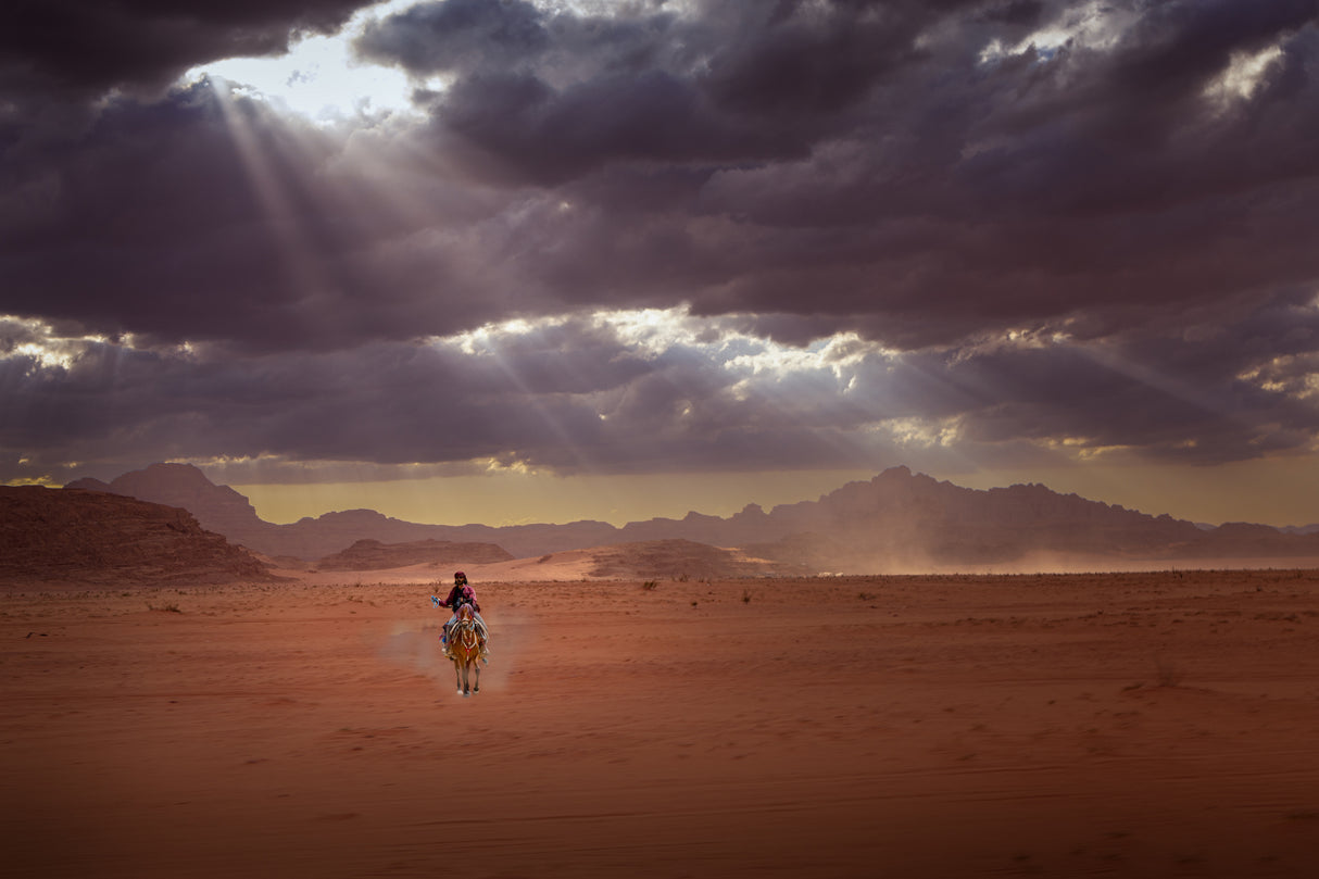 Desert Knight Poster och Canvastavla