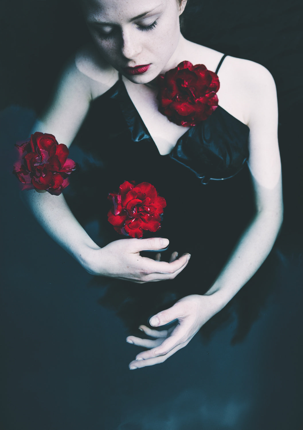 Roses Poster och Canvastavla