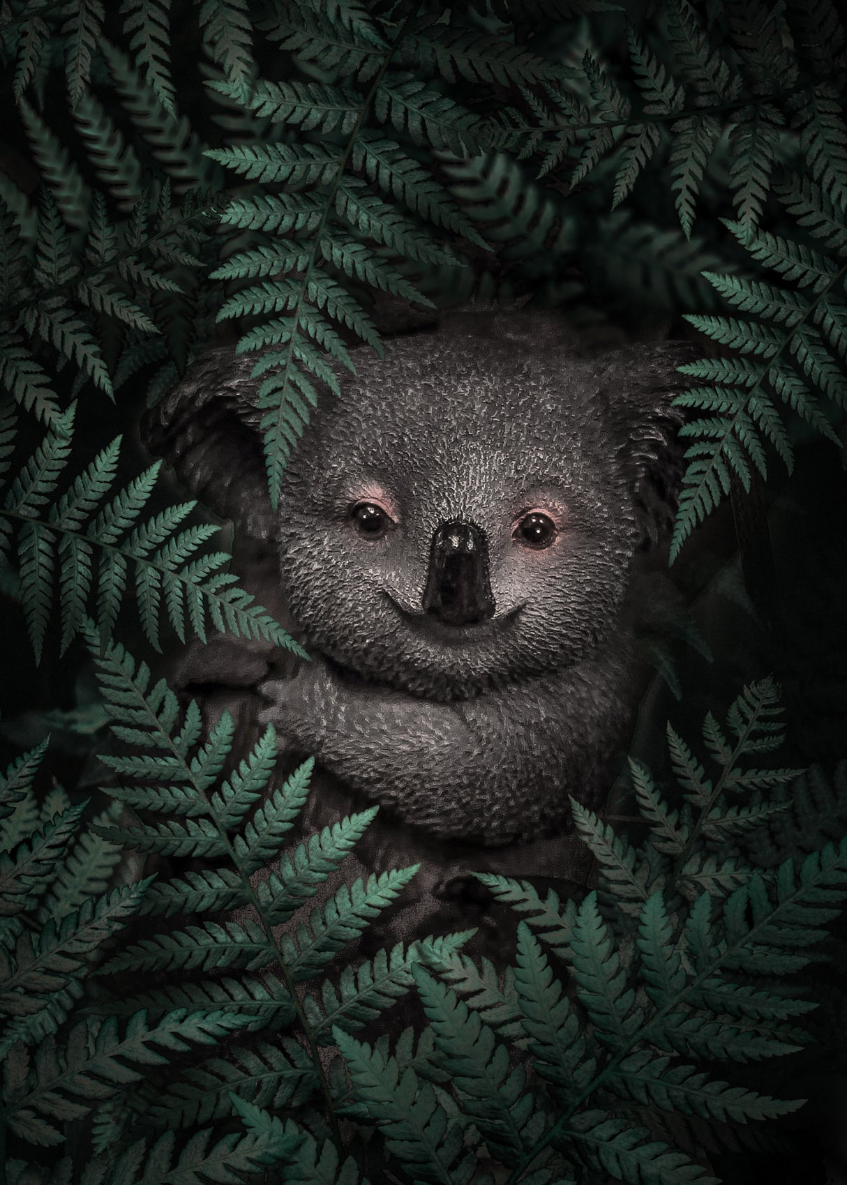 Cute Baby Koala Poster och Canvastavla