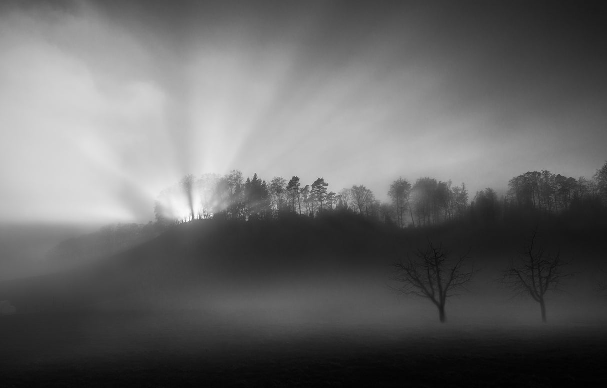 The sun in the fog Poster och Canvastavla
