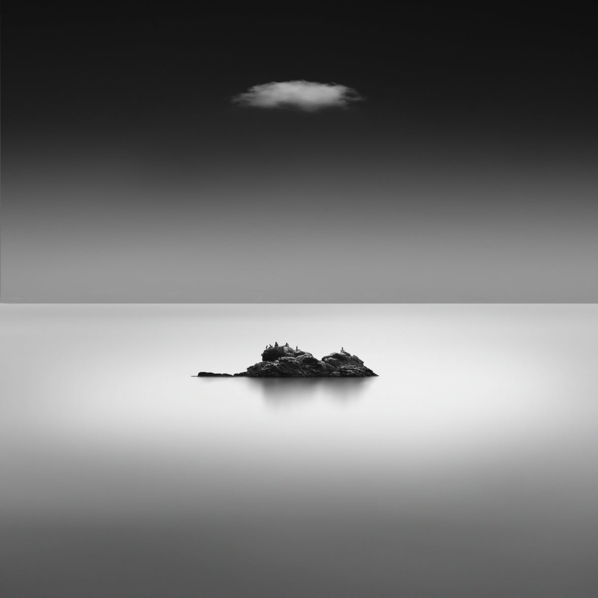A Rock and A Cloud Poster och Canvastavla