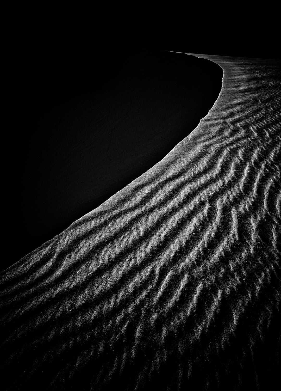 Sand Dune Poster och Canvastavla