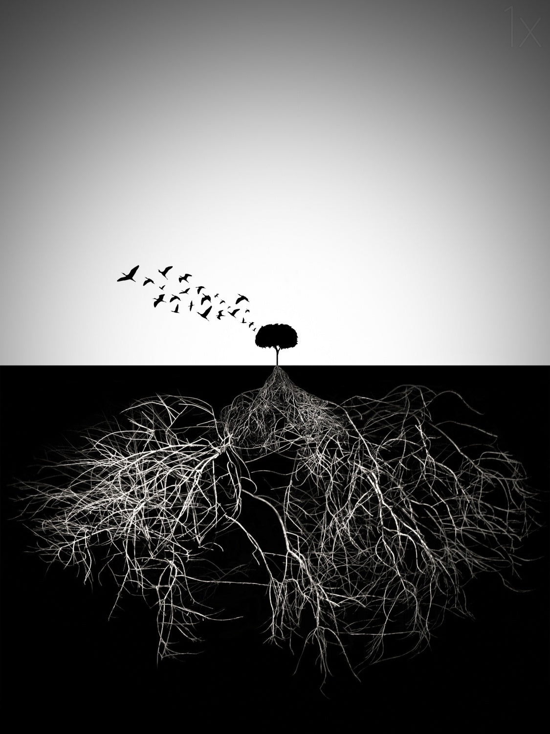 Do not judge according to appearance Poster och Canvastavla