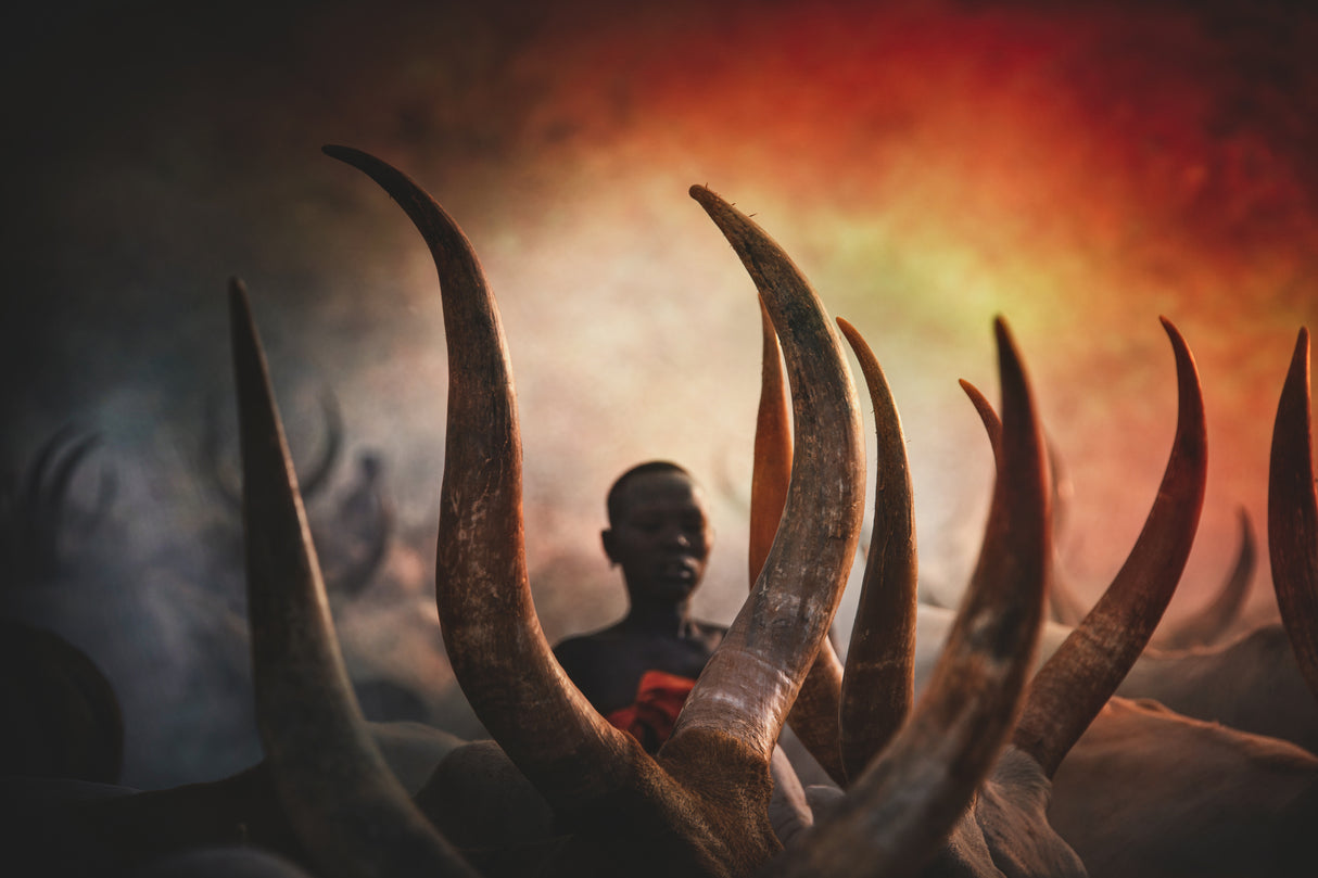 Mundari tribe Poster och Canvastavla