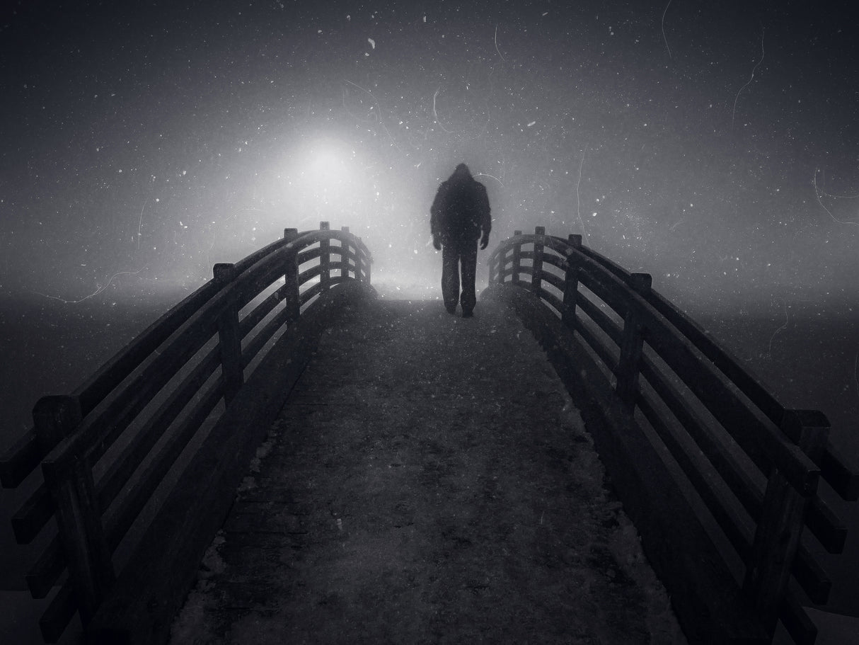 Road to the promised fog Poster och Canvastavla