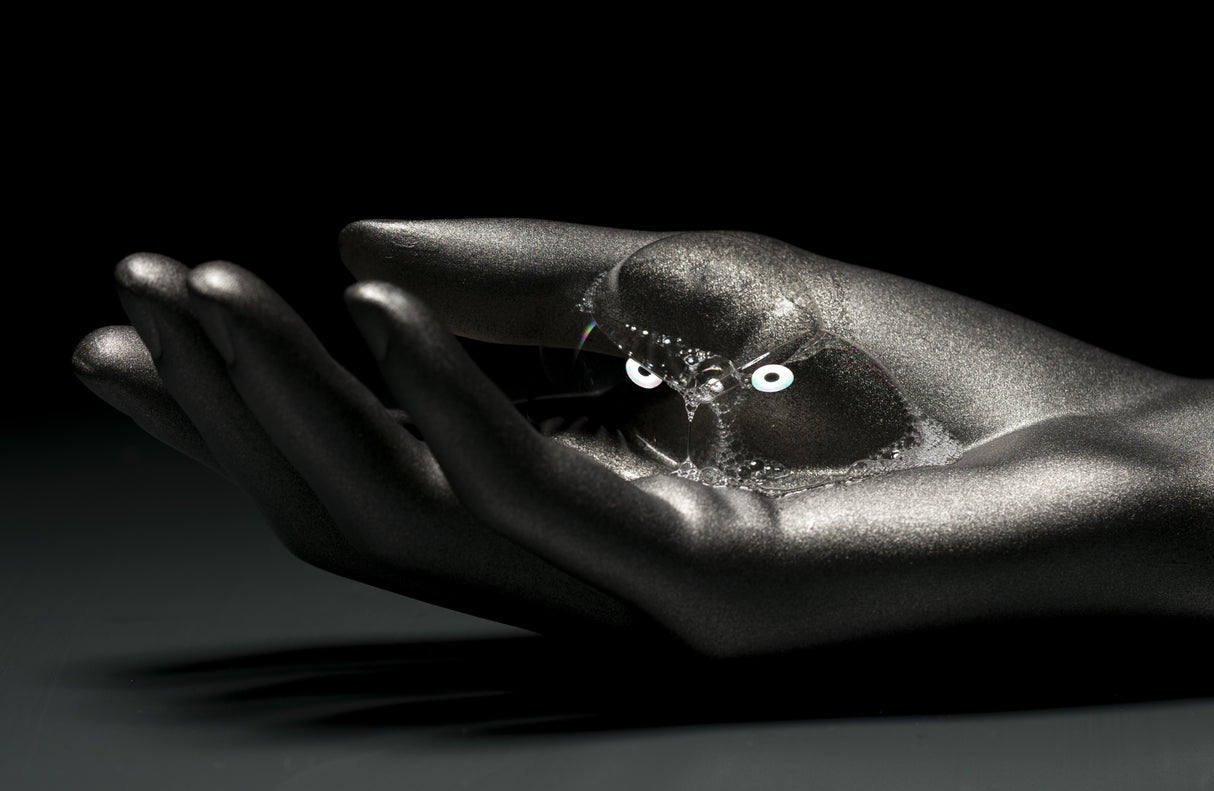 Hand Poster och Canvastavla