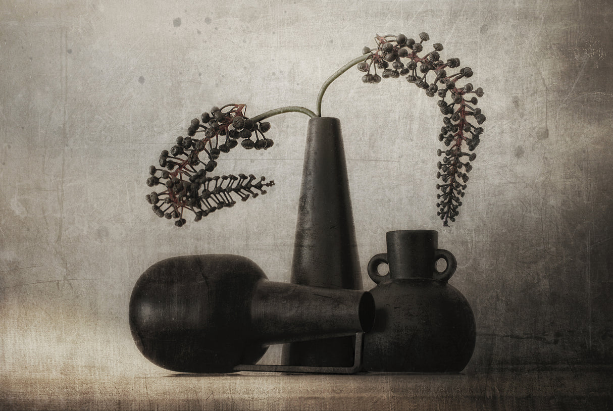 Black pots Poster och Canvastavla