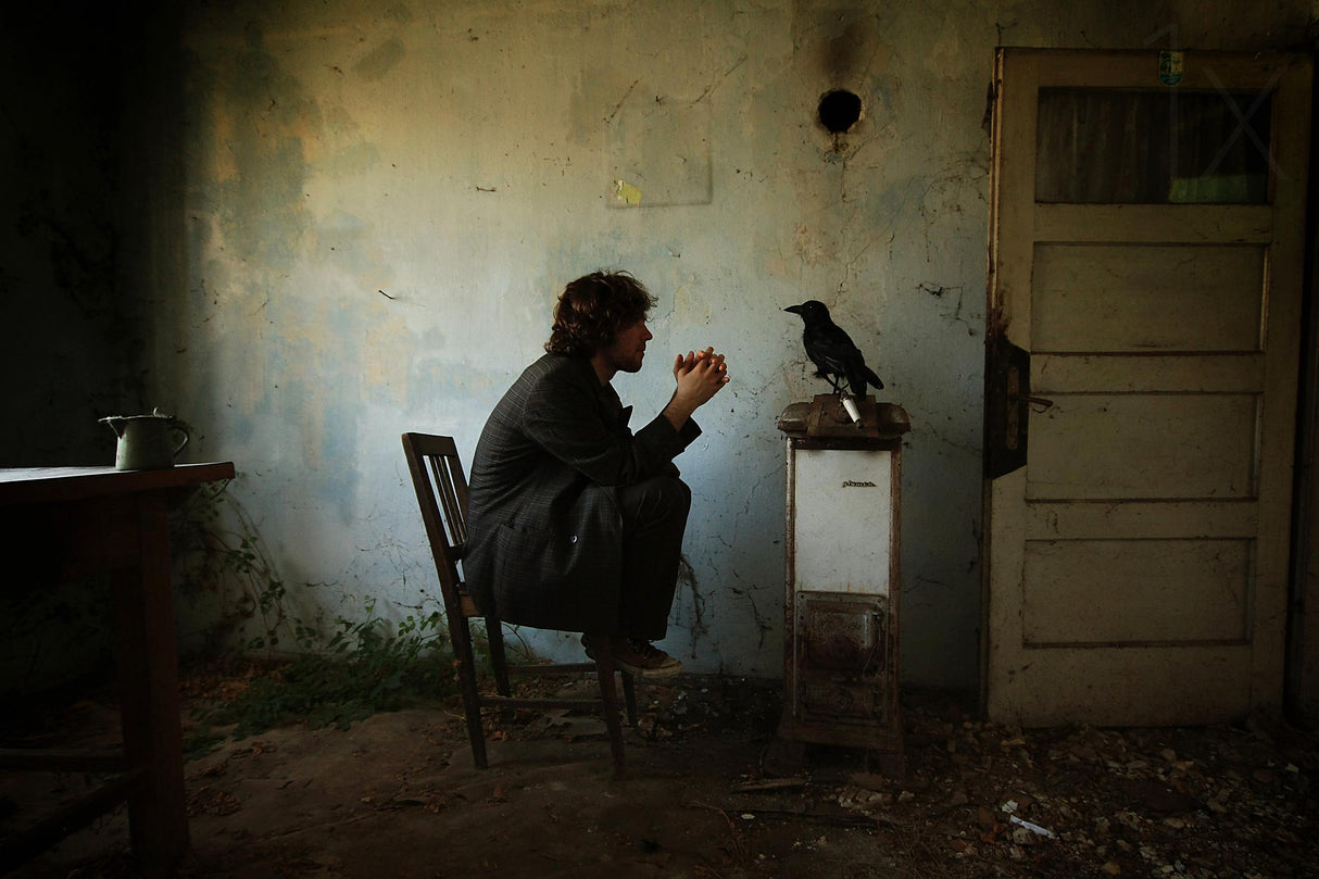 The Raven Poster och Canvastavla