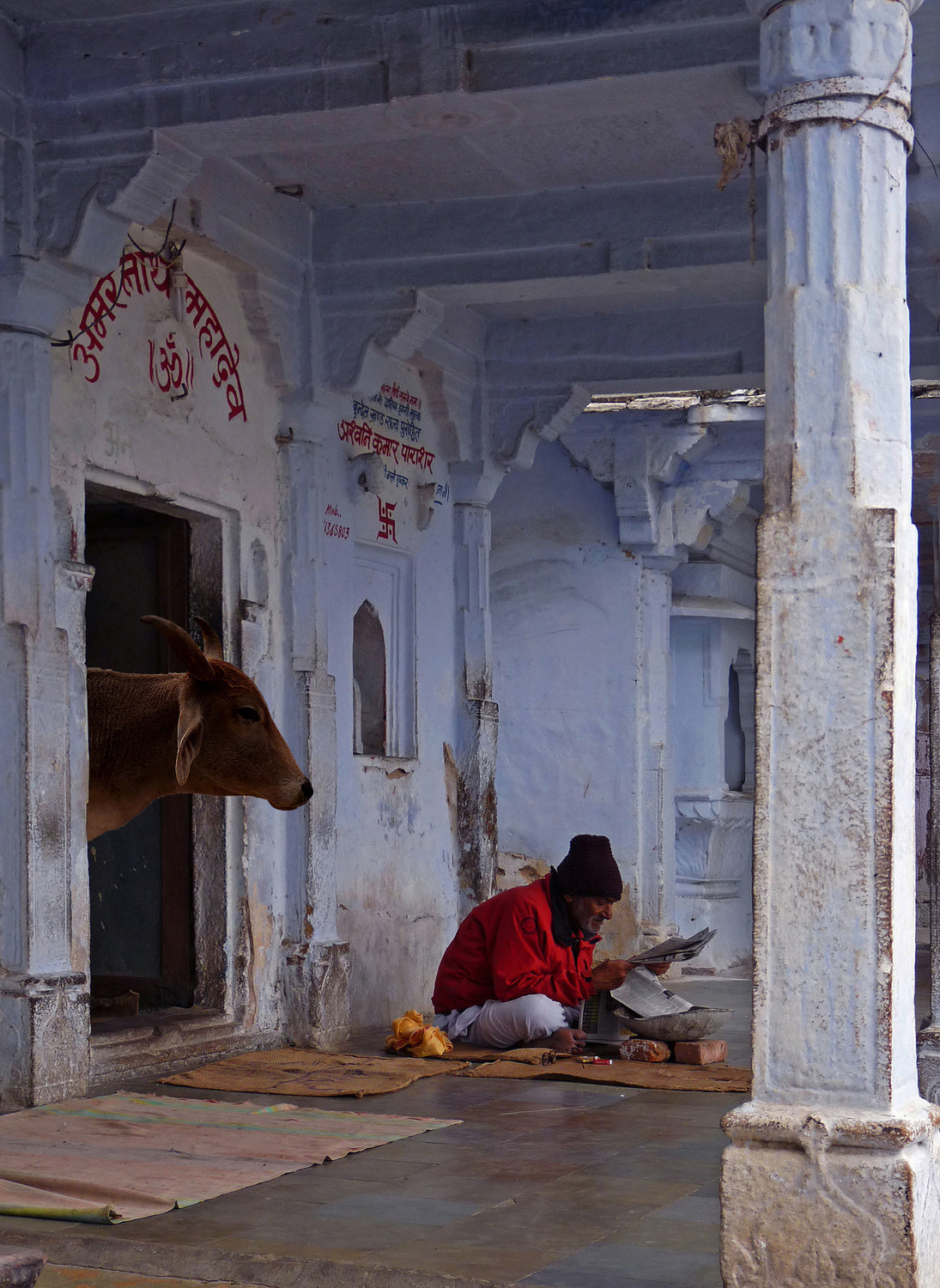 Good Morning,India! Poster och Canvastavla