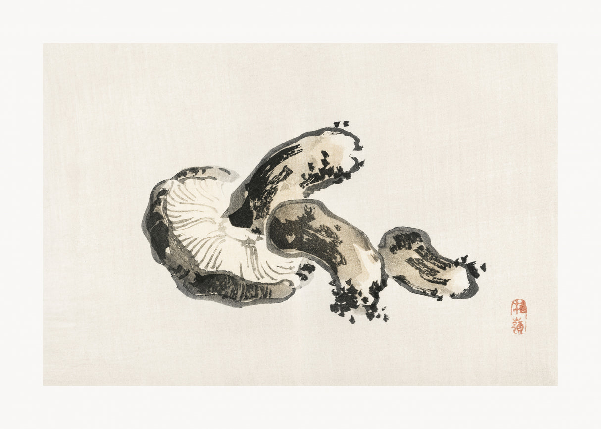 Shitake Mushroom Poster och Canvastavla