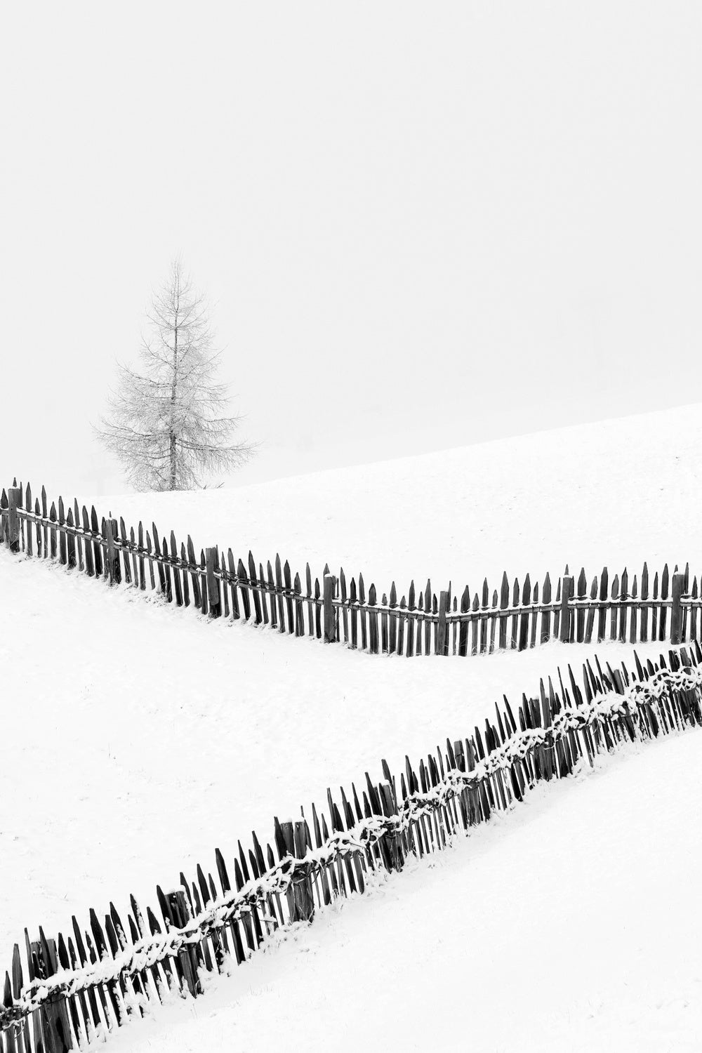 Fences: Playing with lines Poster och Canvastavla