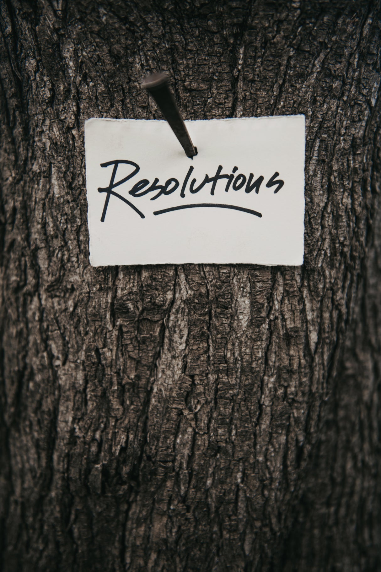 Resolutions Poster och Canvastavla