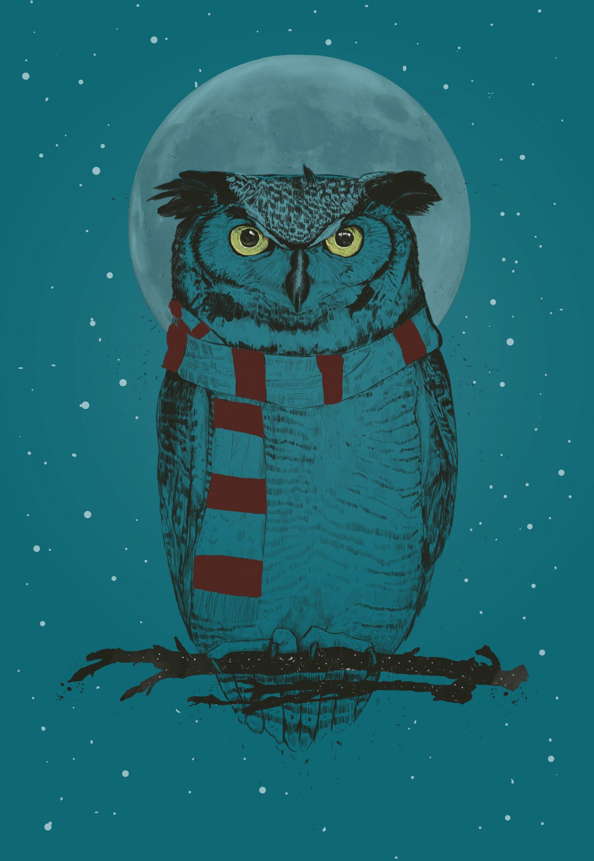 Winter owl Poster och Canvastavla