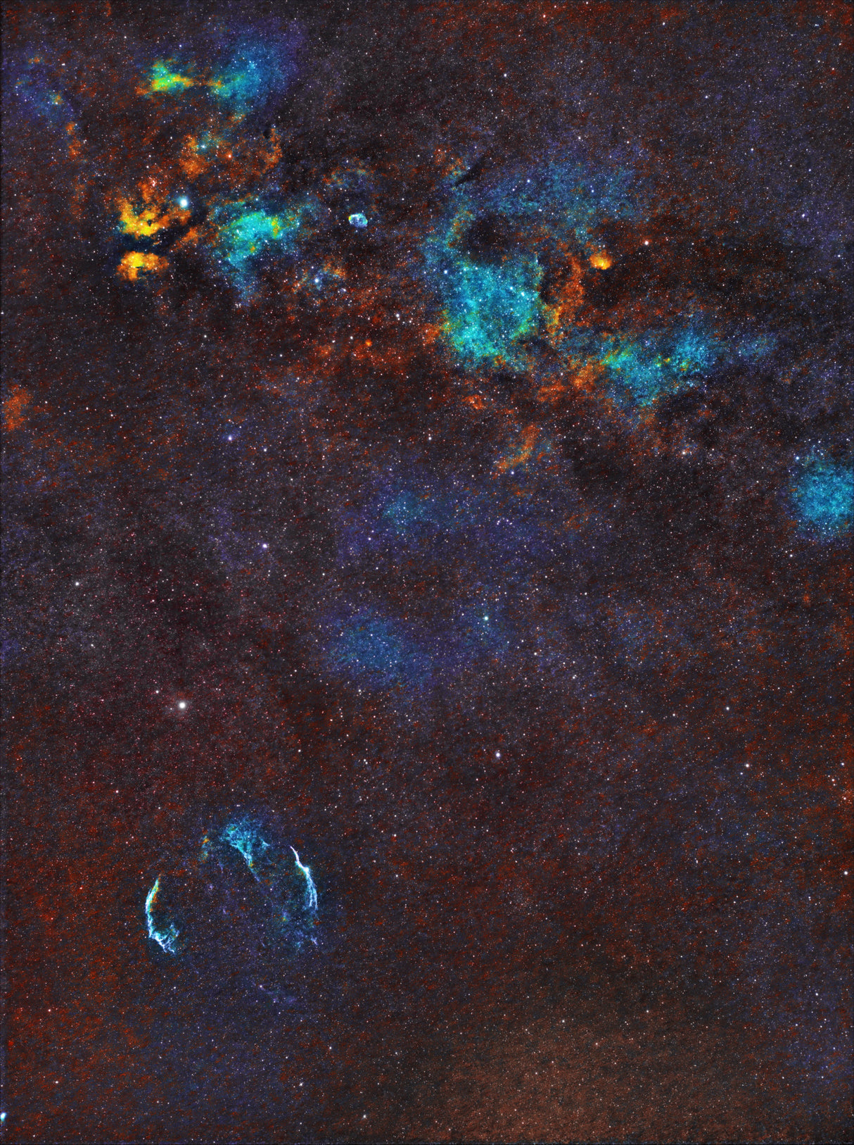 Veil Nebula, Sadr Region and Crescent Nebula Poster och Canvastavla
