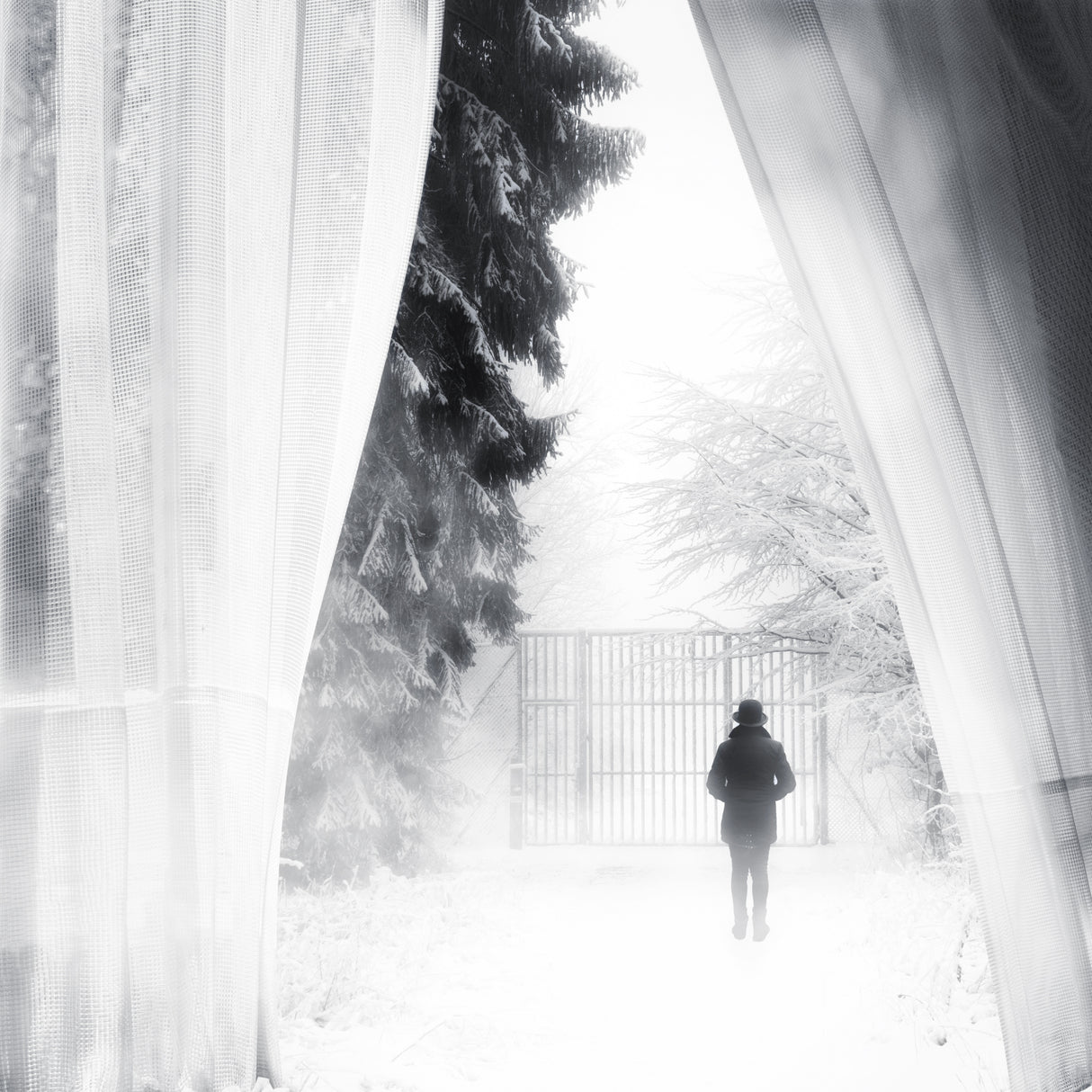 The gate Poster och Canvastavla