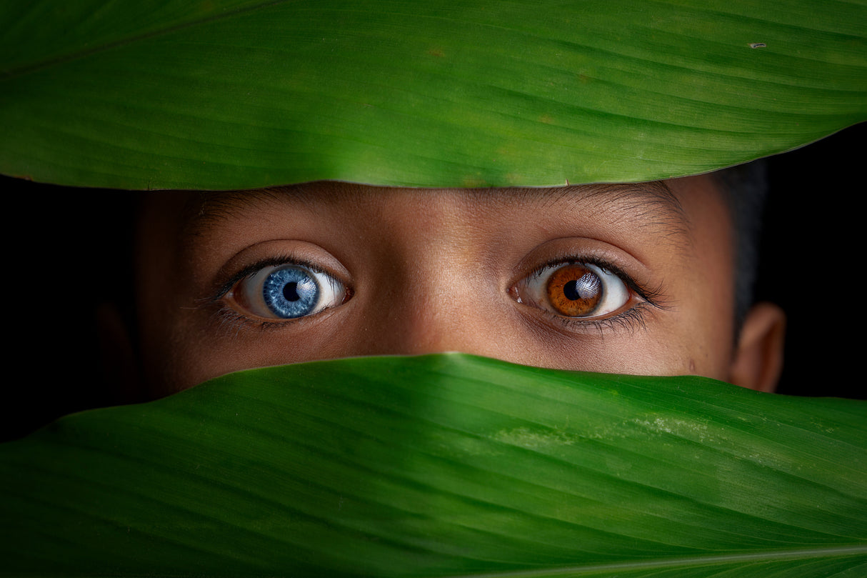 blue eye Poster och Canvastavla