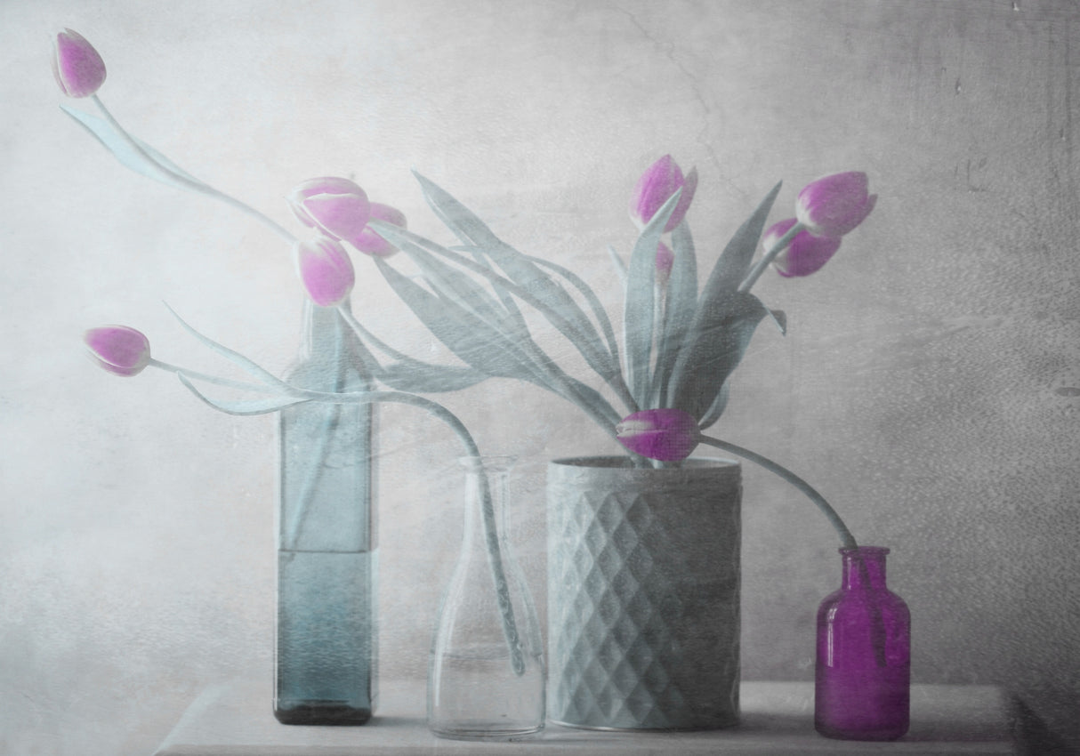 Purple Tulips Poster och Canvastavla