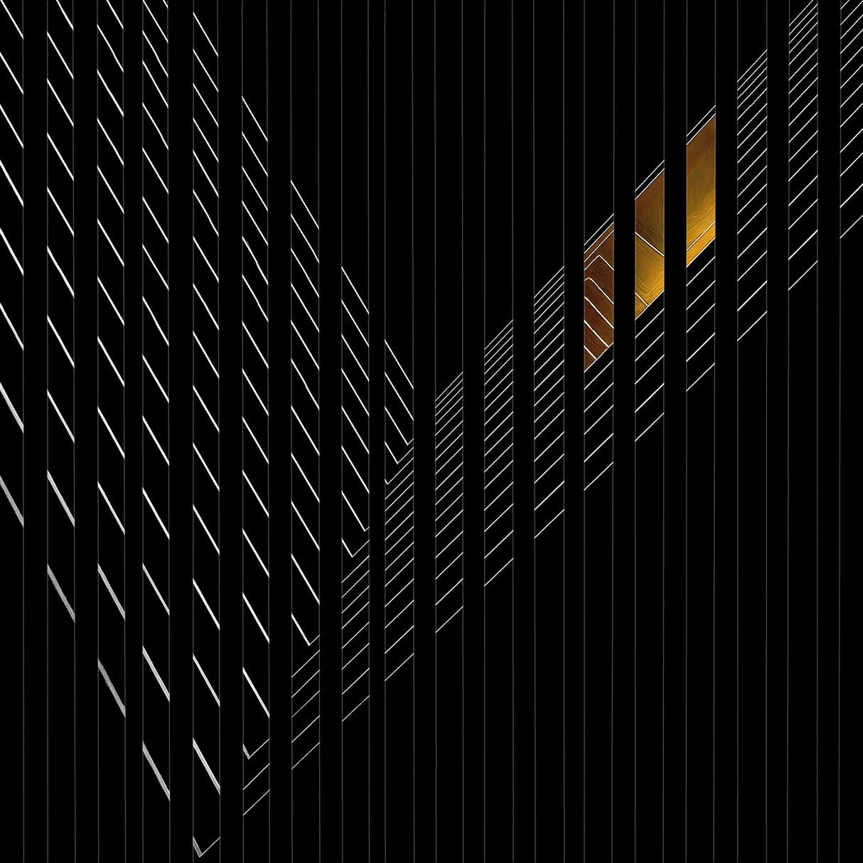 light rail Poster och Canvastavla