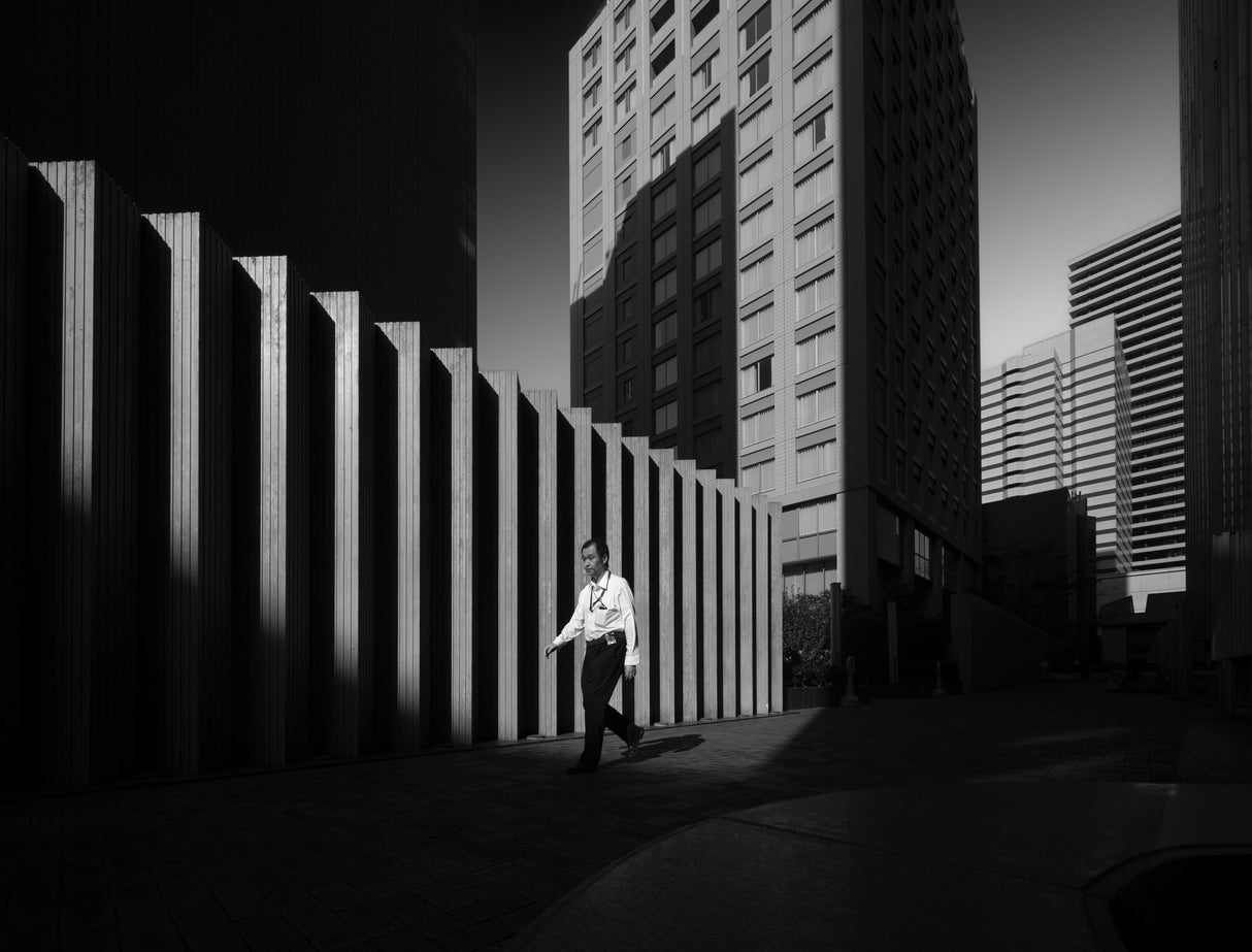 A White in the Dark City Poster och Canvastavla